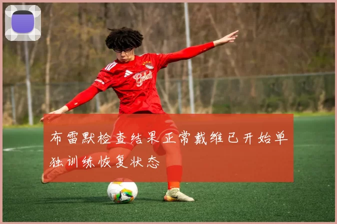 布雷默检查结果正常戴维已开始单独训练恢复状态