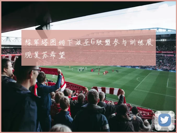 绿军塔图姆下放至G联盟参与训练展现复苏希望